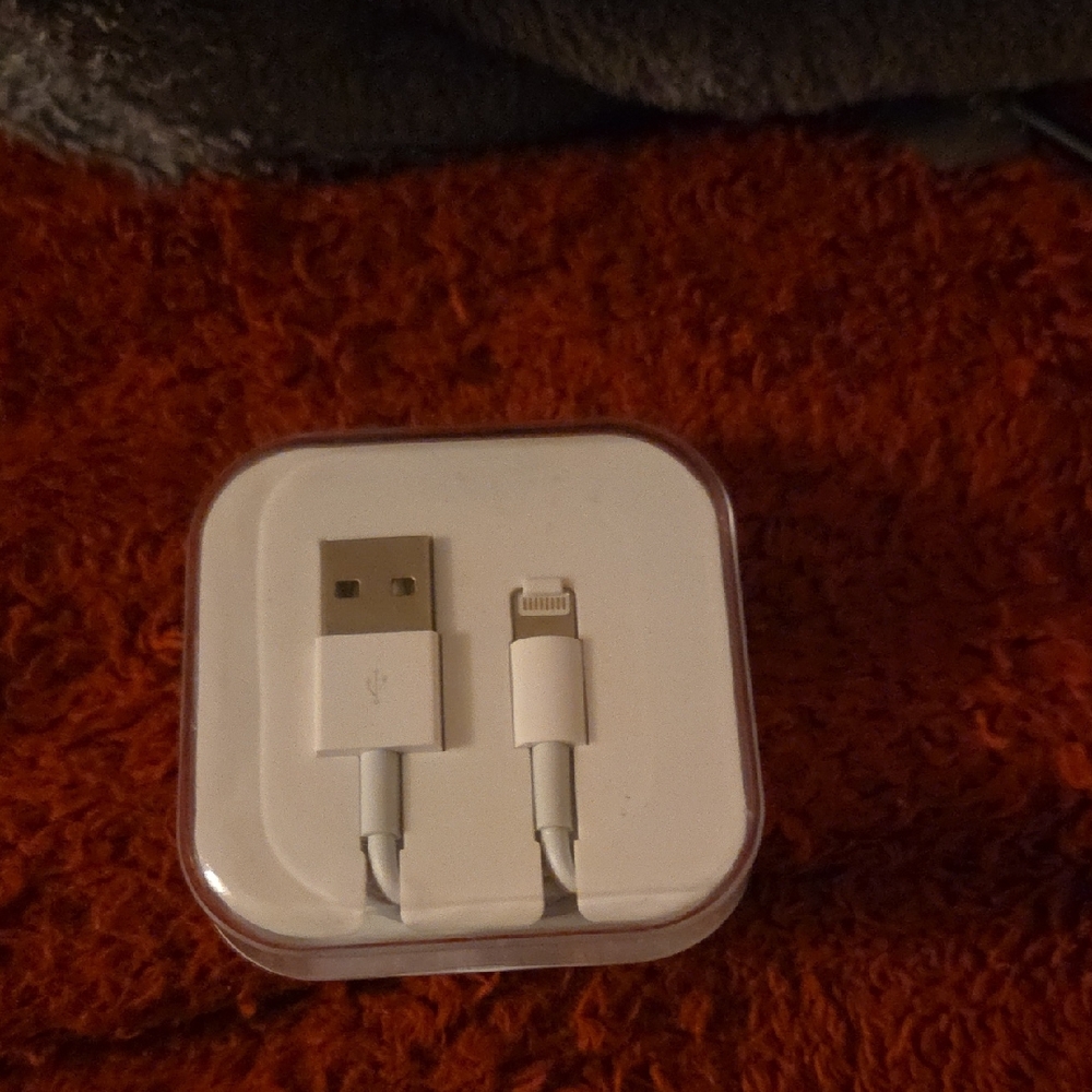 Apple White USB to Lightning Cable in Case
